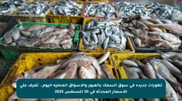 تطورات جديدة في سوق السمك بالعبور والأسواق المحلية اليوم.. تعرف على الأسعار المحدثة في 20 أغسطس 2025